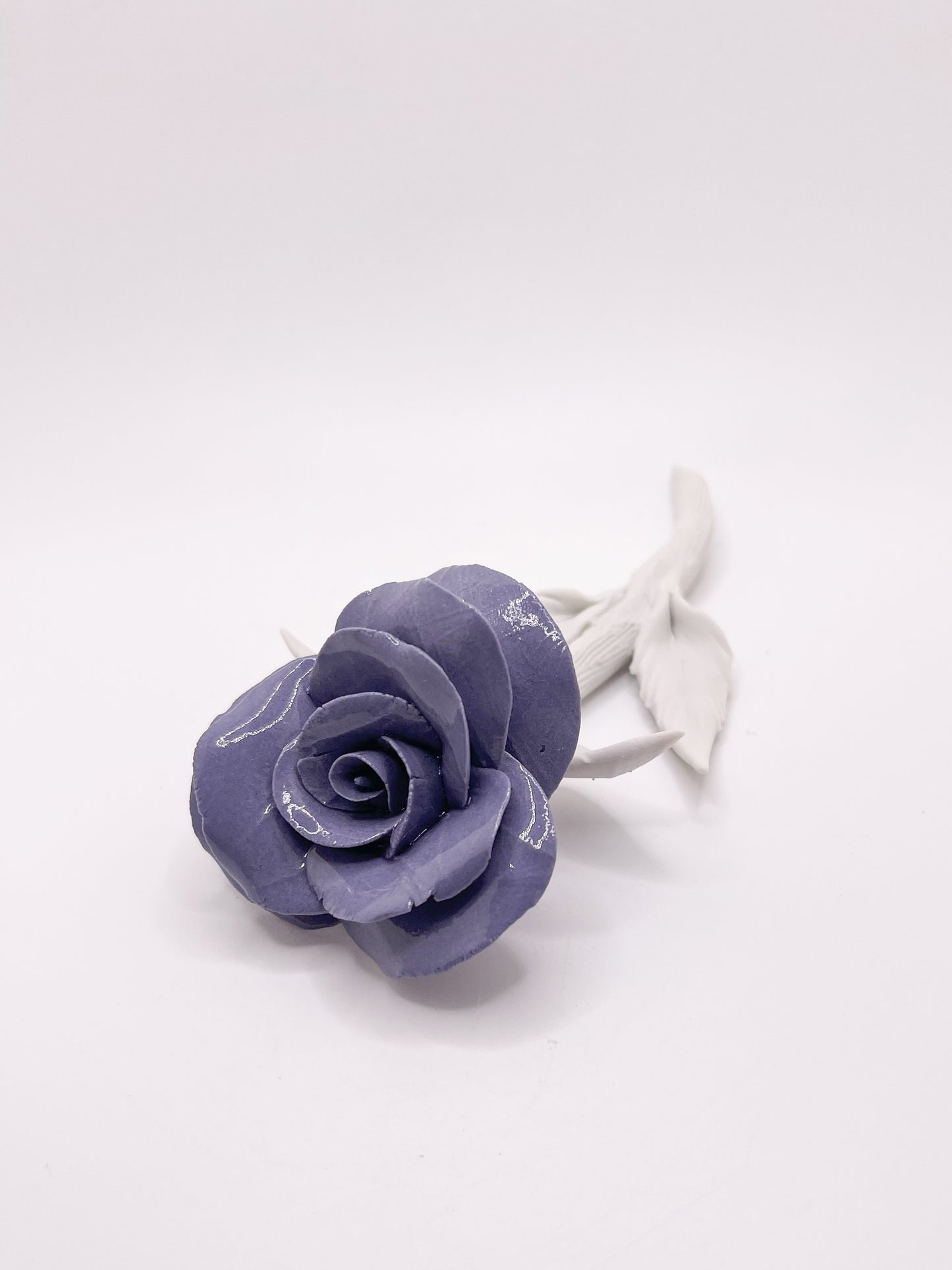 Forever Rose