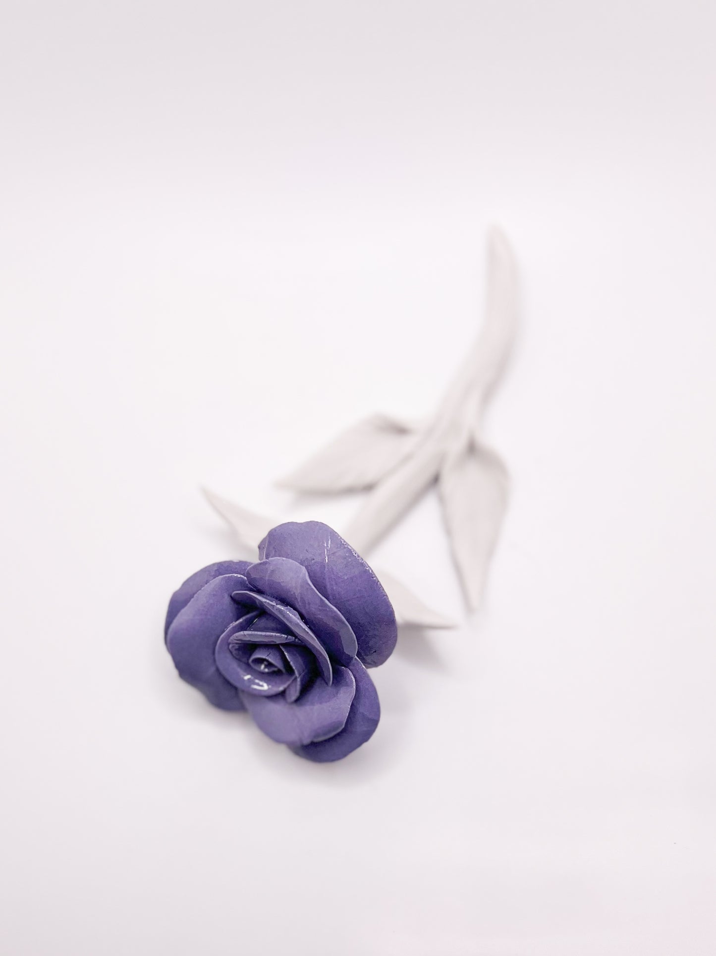 Forever Rose