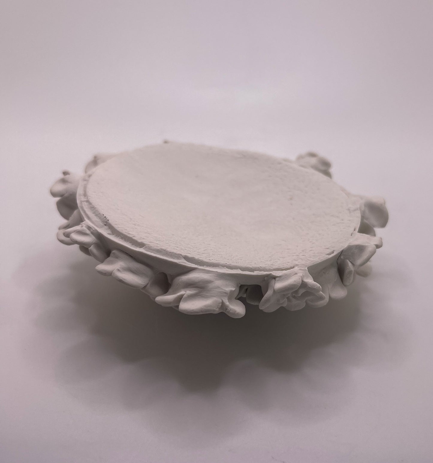 Mini Forever Garden - Imperfect