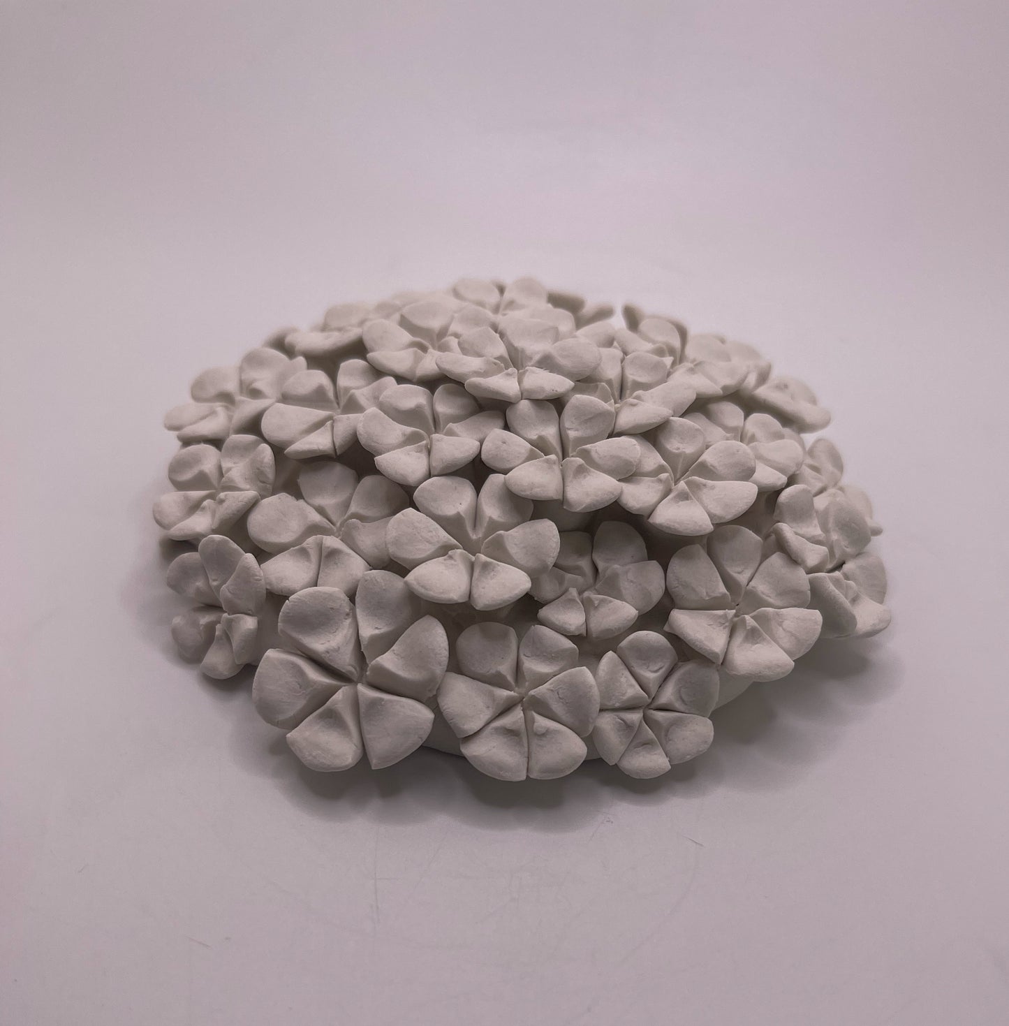 Mini Forever Garden - Imperfect