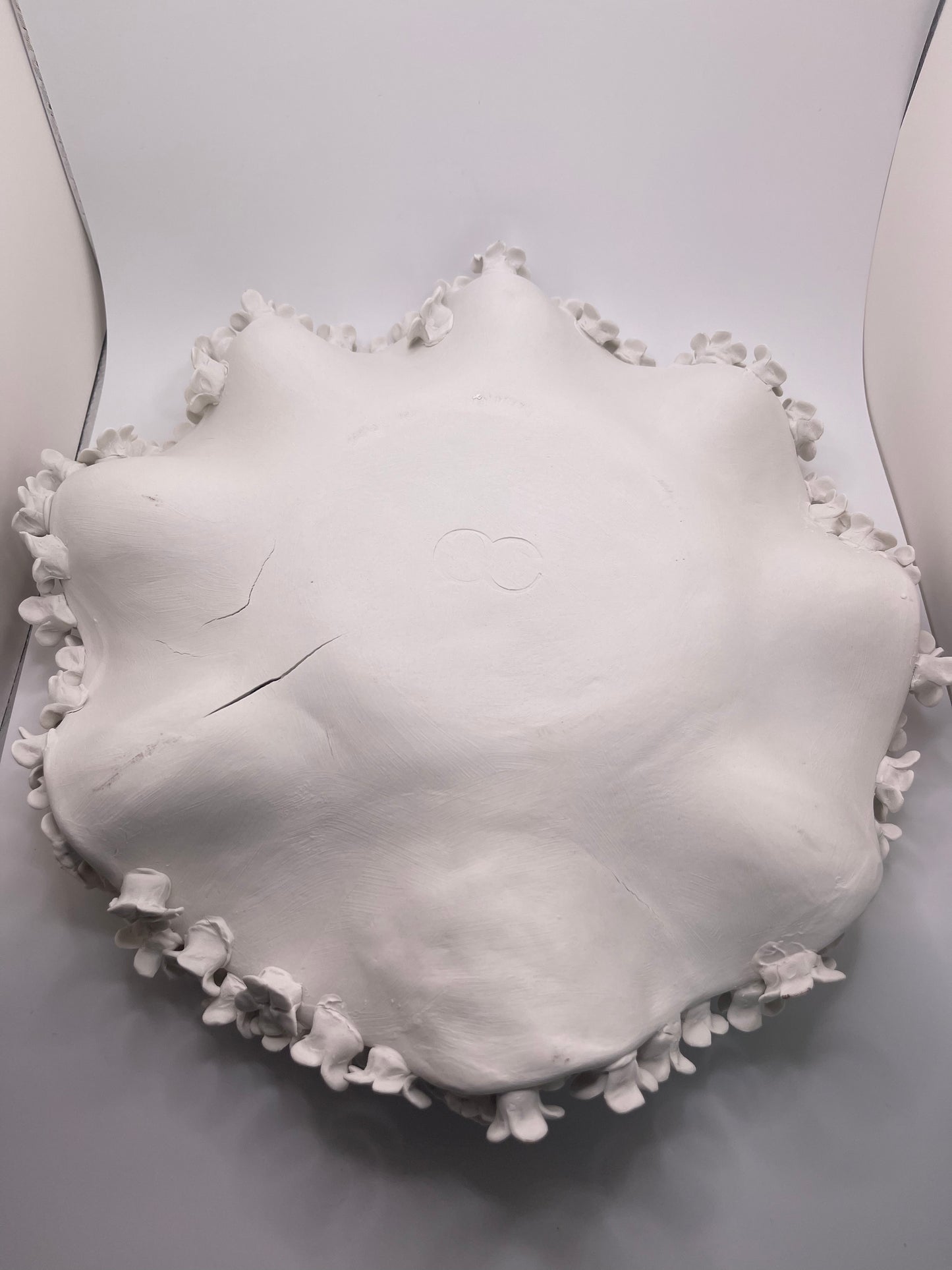 Wall Garden - Imperfect