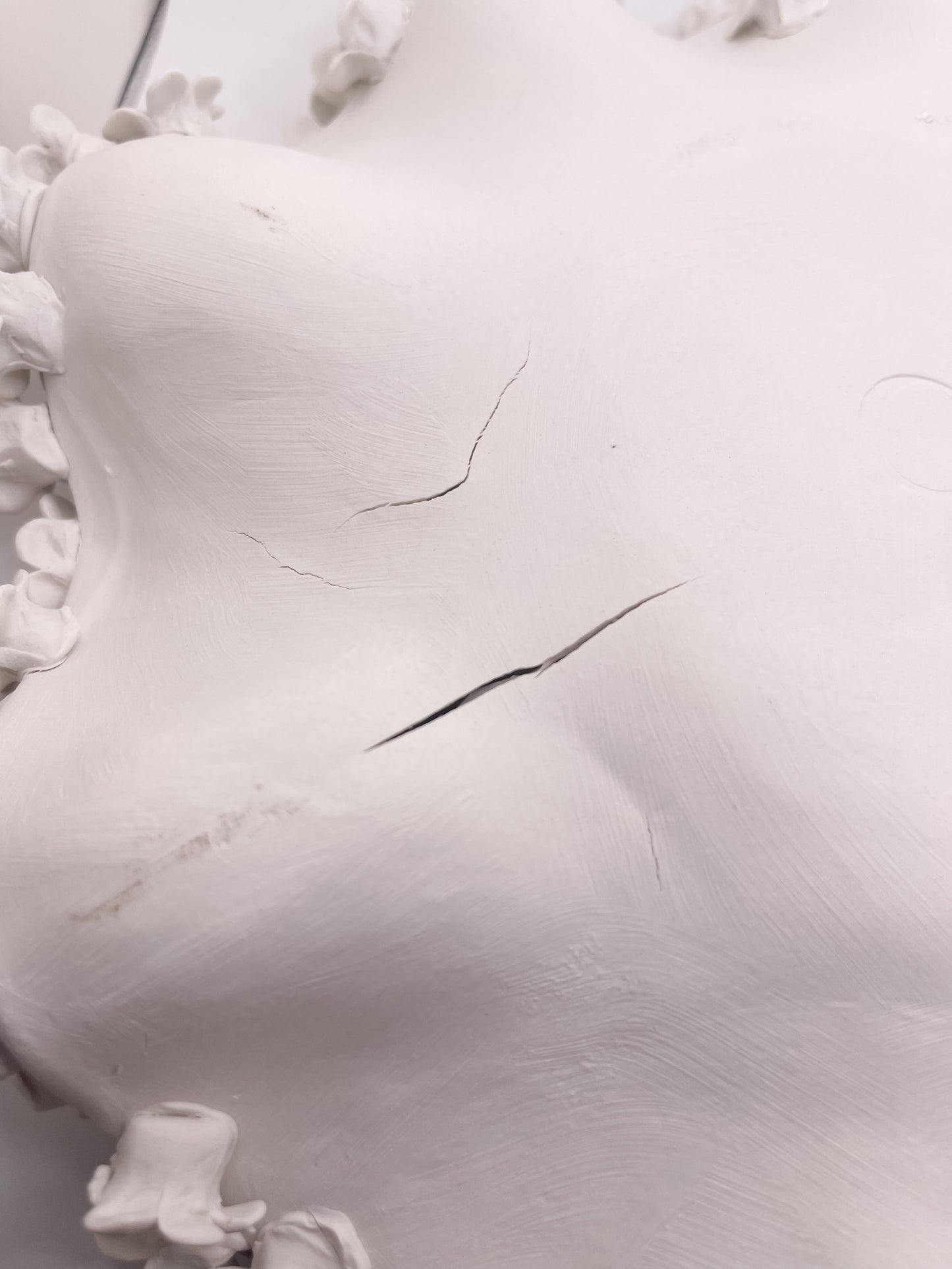 Wall Garden - Imperfect