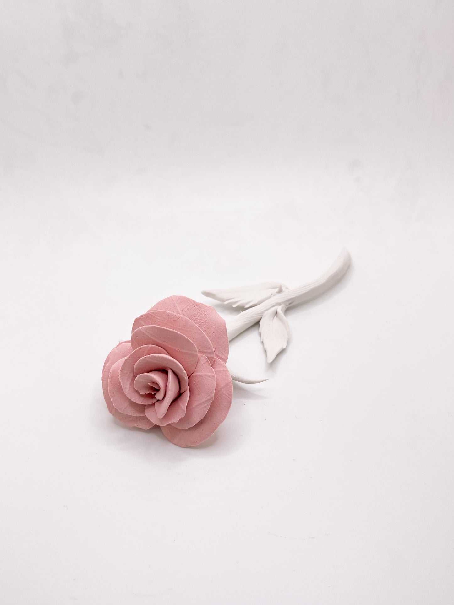 Forever Rose