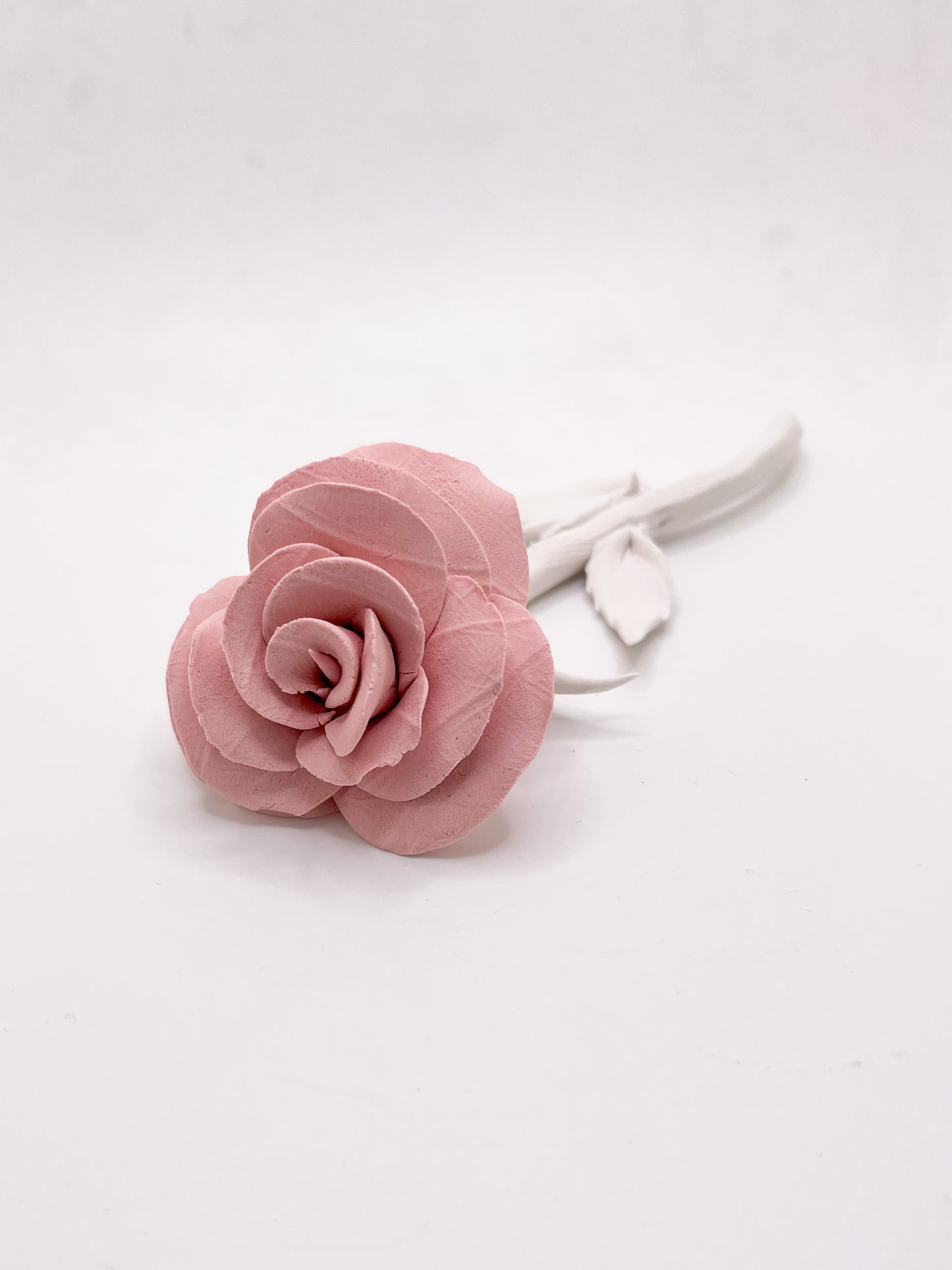 Forever Rose