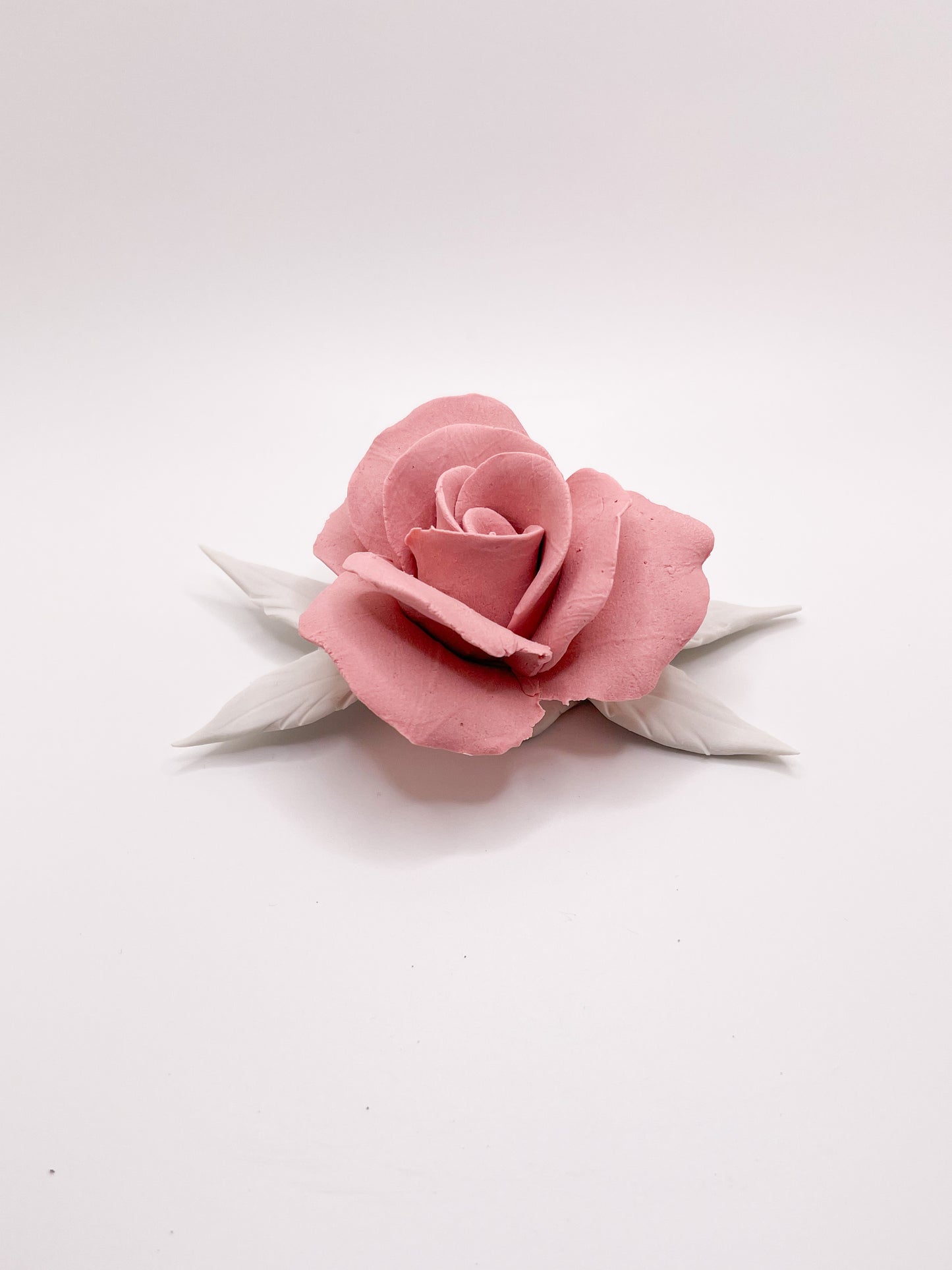 Forever Rose