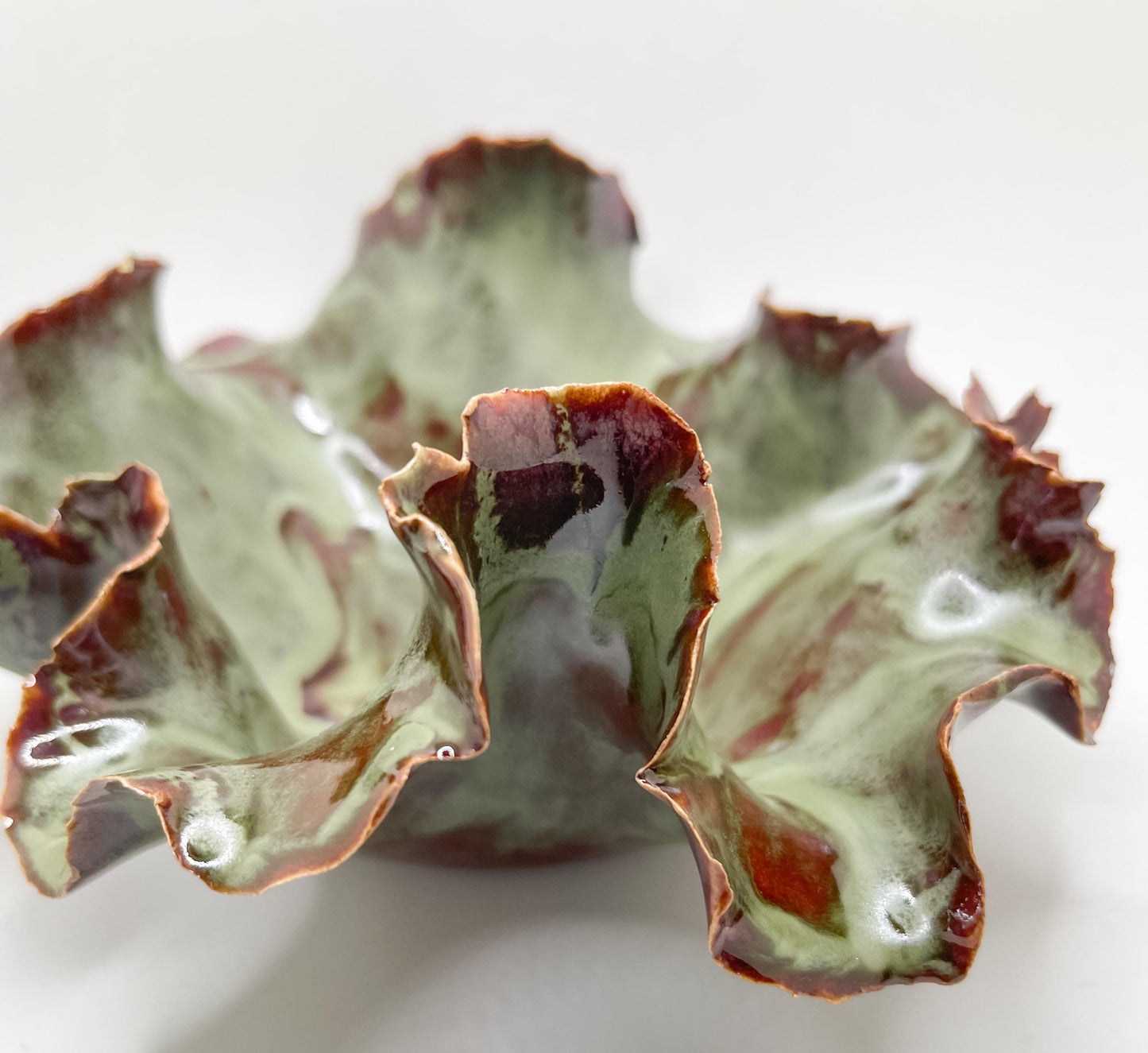 Blossom Bowl