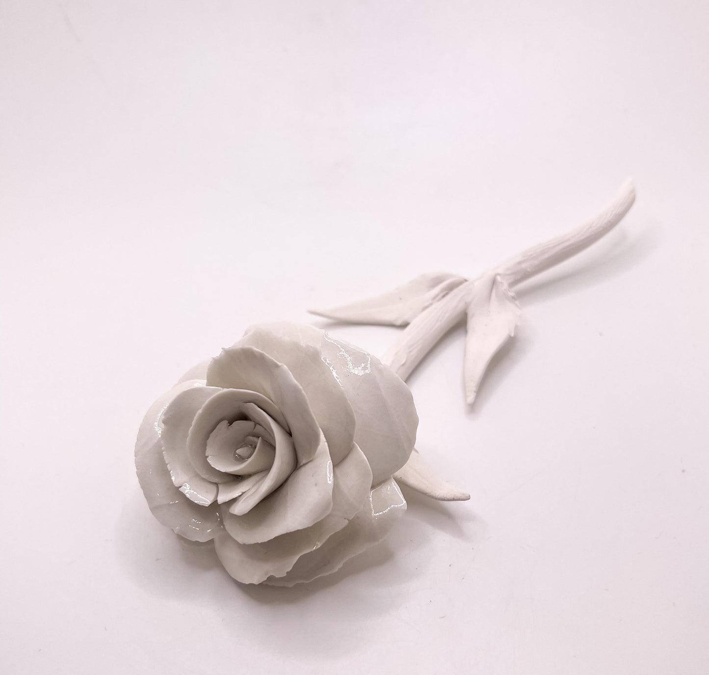 Forever Rose