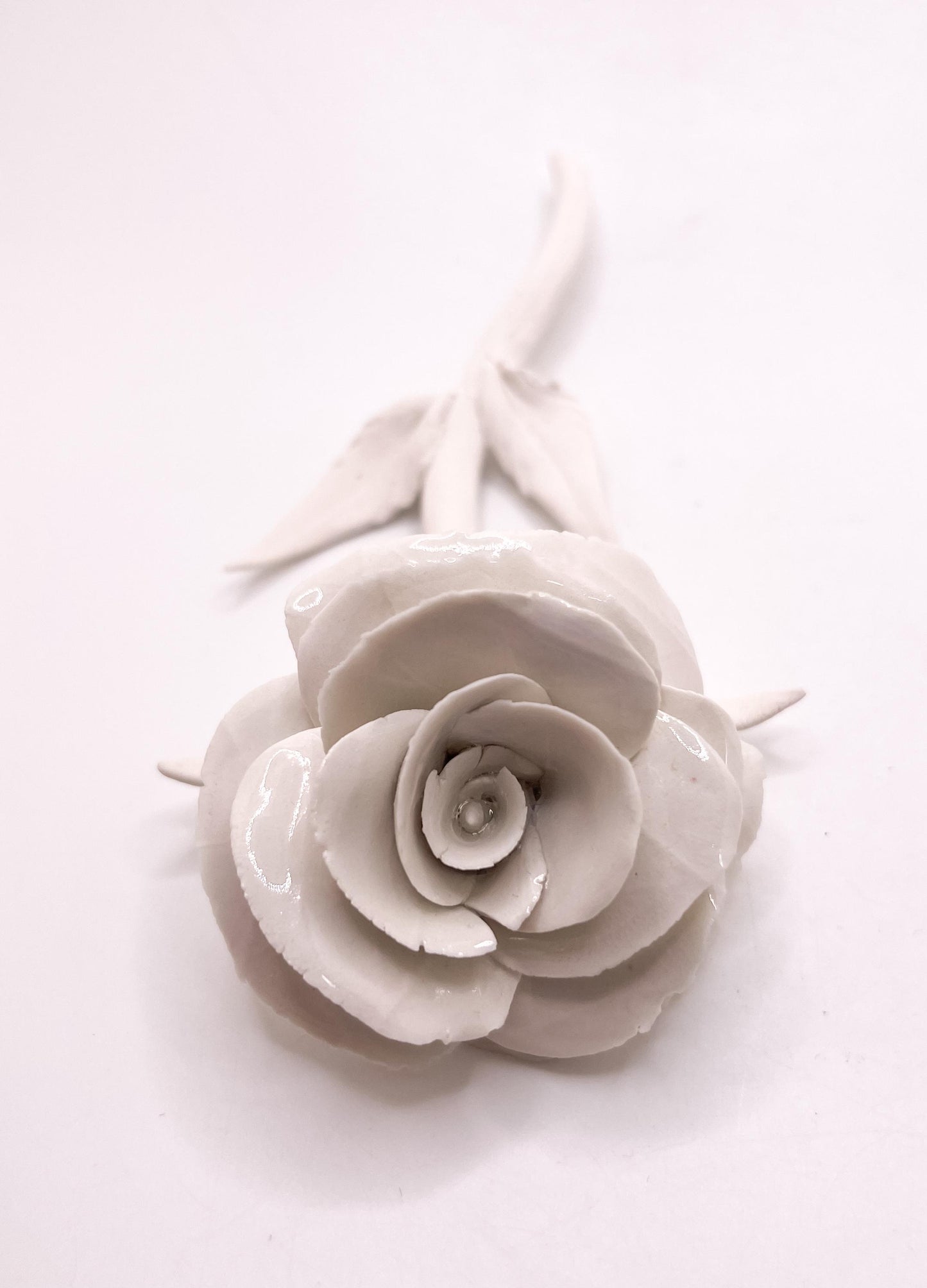 Forever Rose