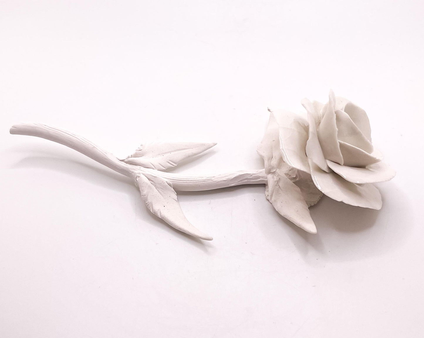 Forever Rose