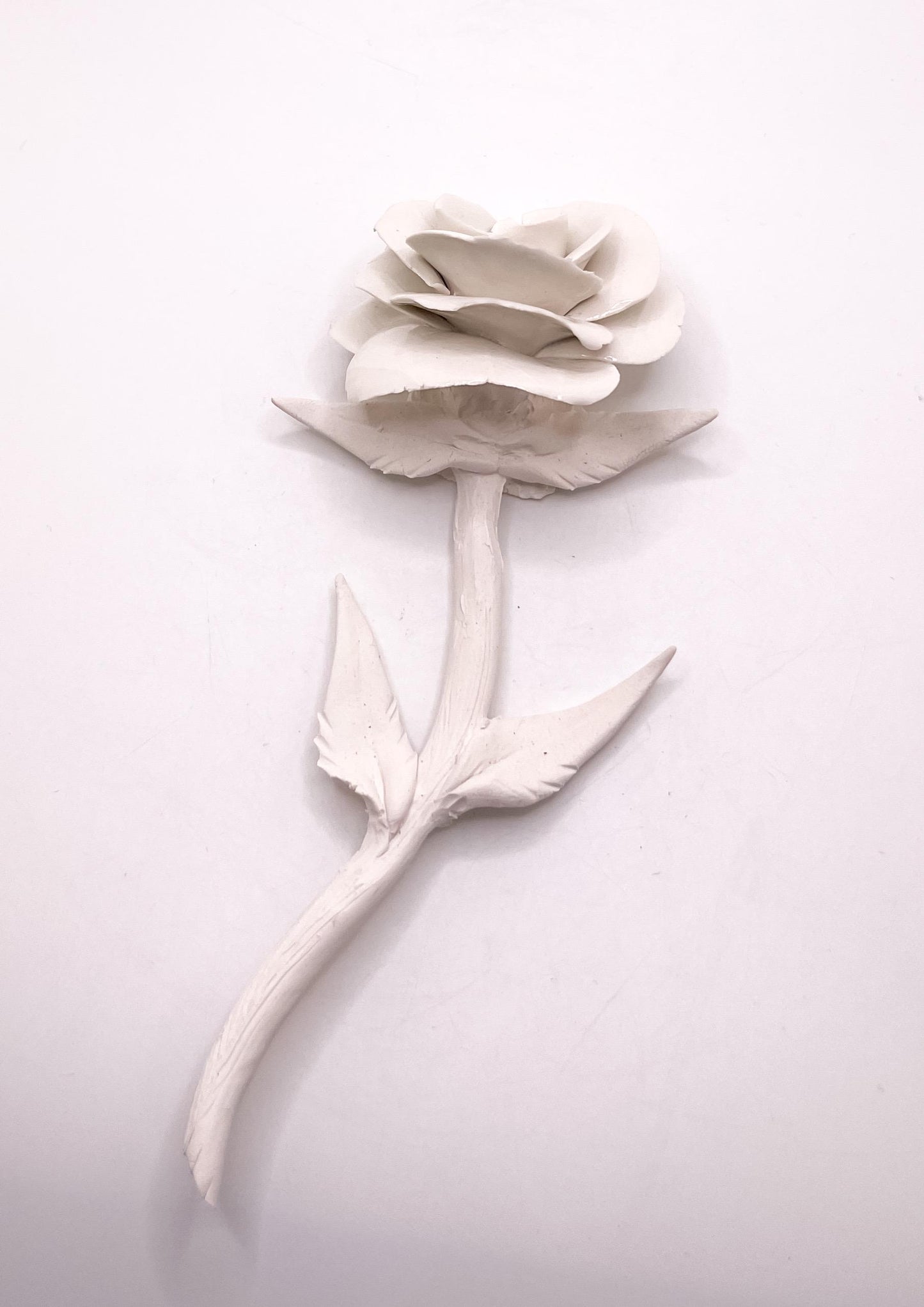 Forever Rose