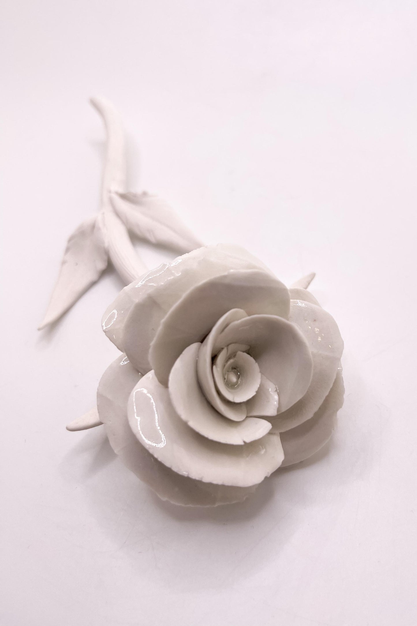 Forever Rose