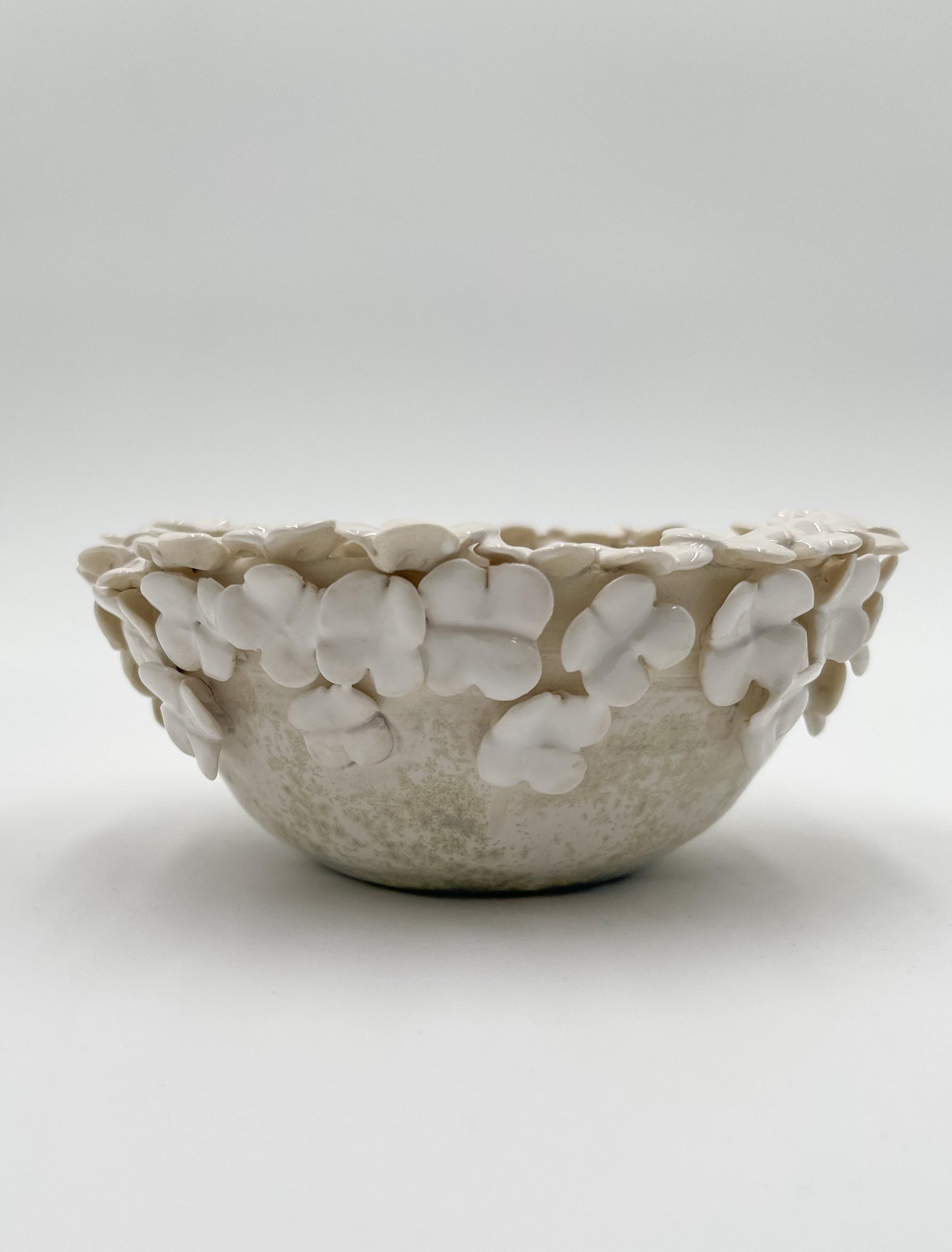 Bowl of Posies