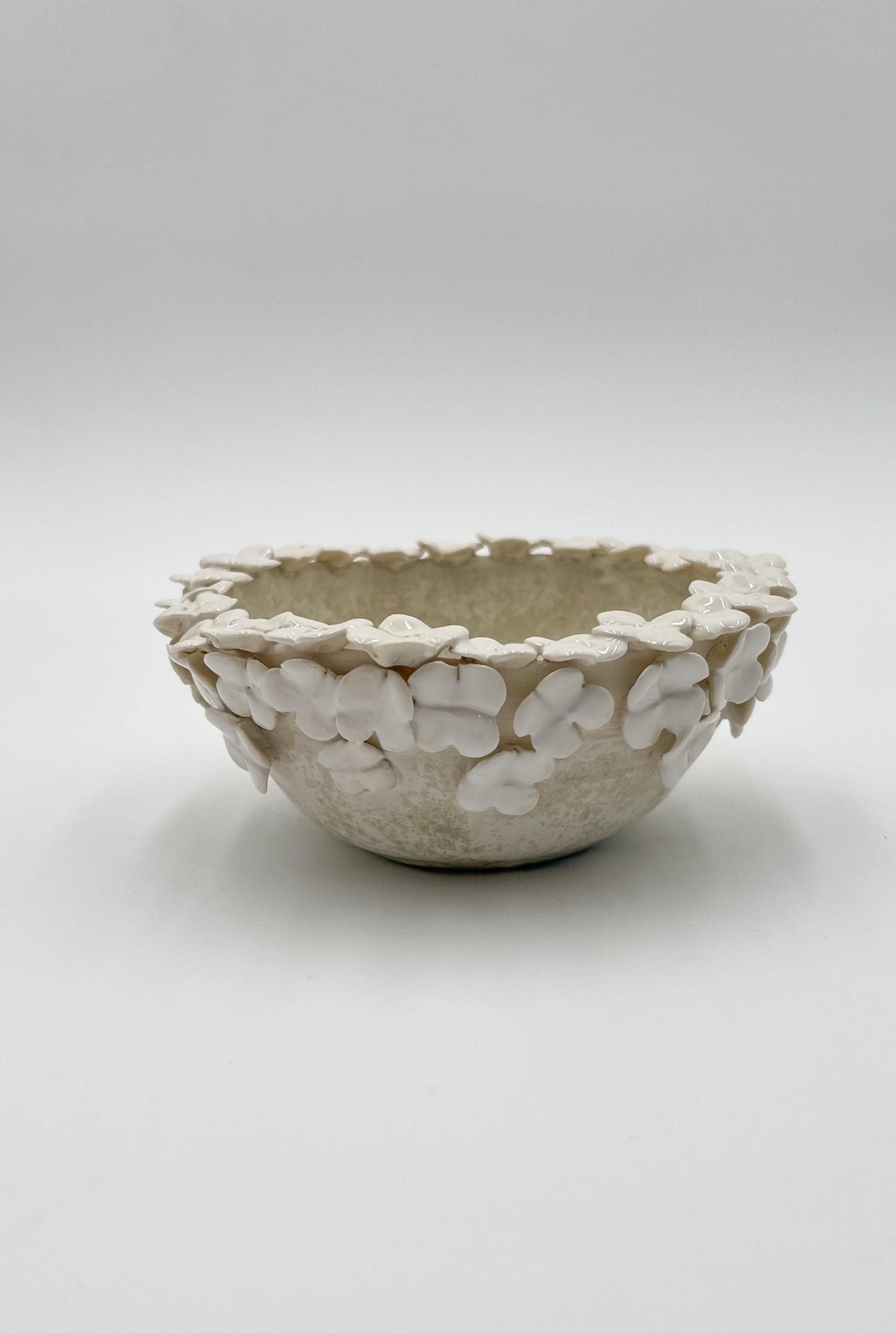 Bowl of Posies