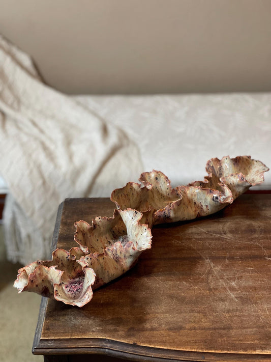 Coral Beach Sculpture