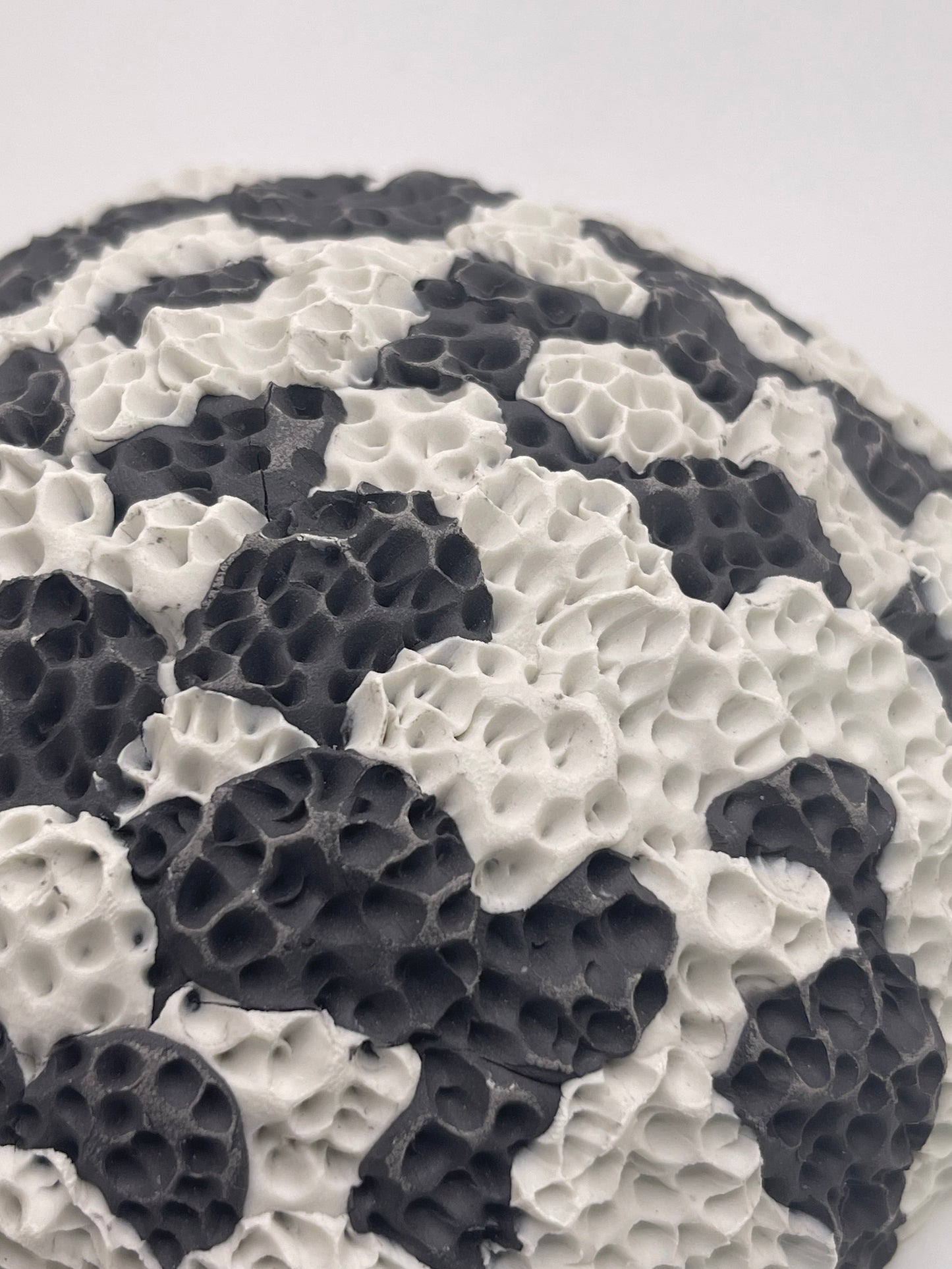 Coral Sculpture