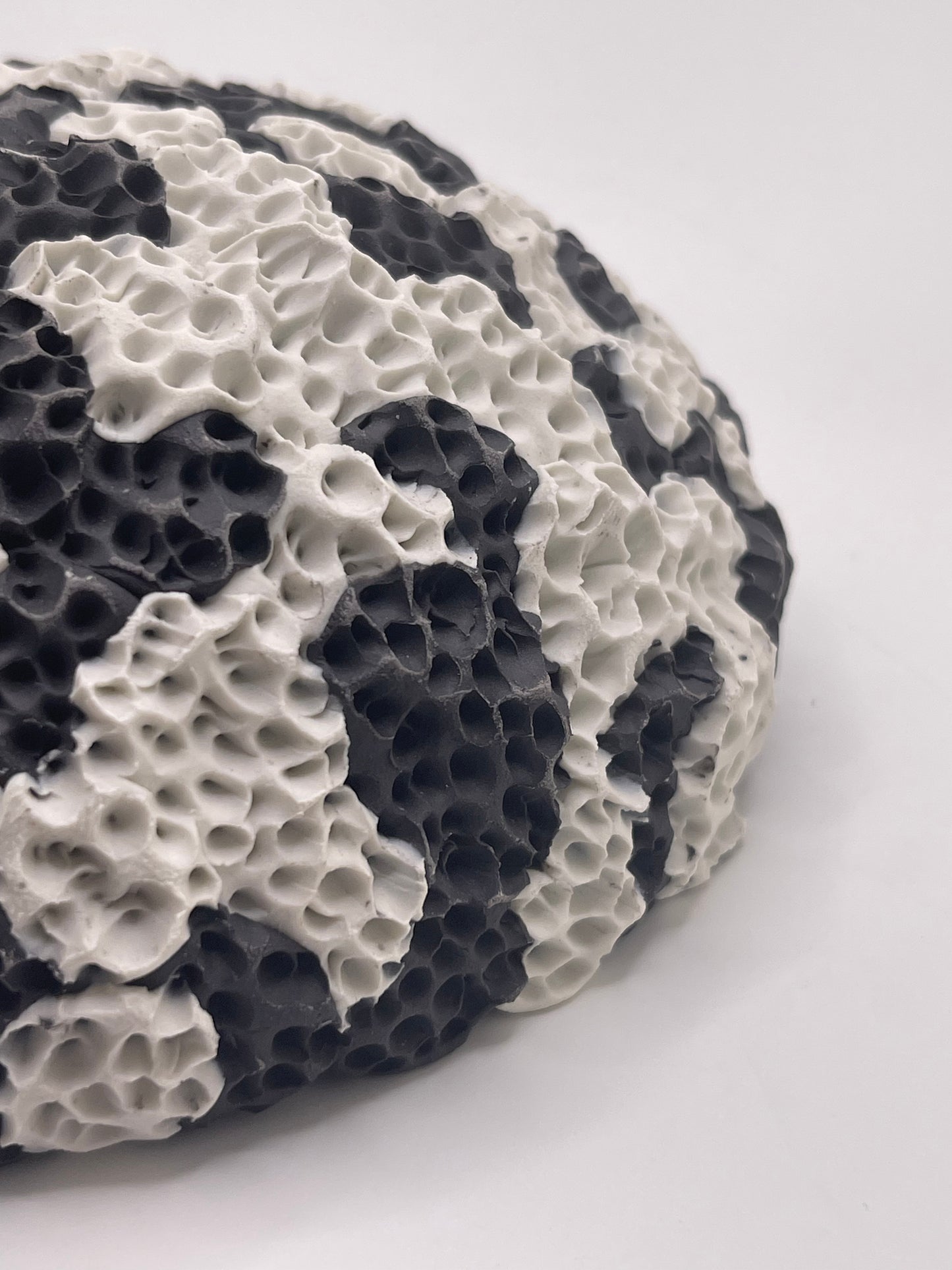 Coral Sculpture