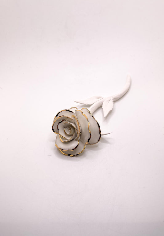 Forever Rose