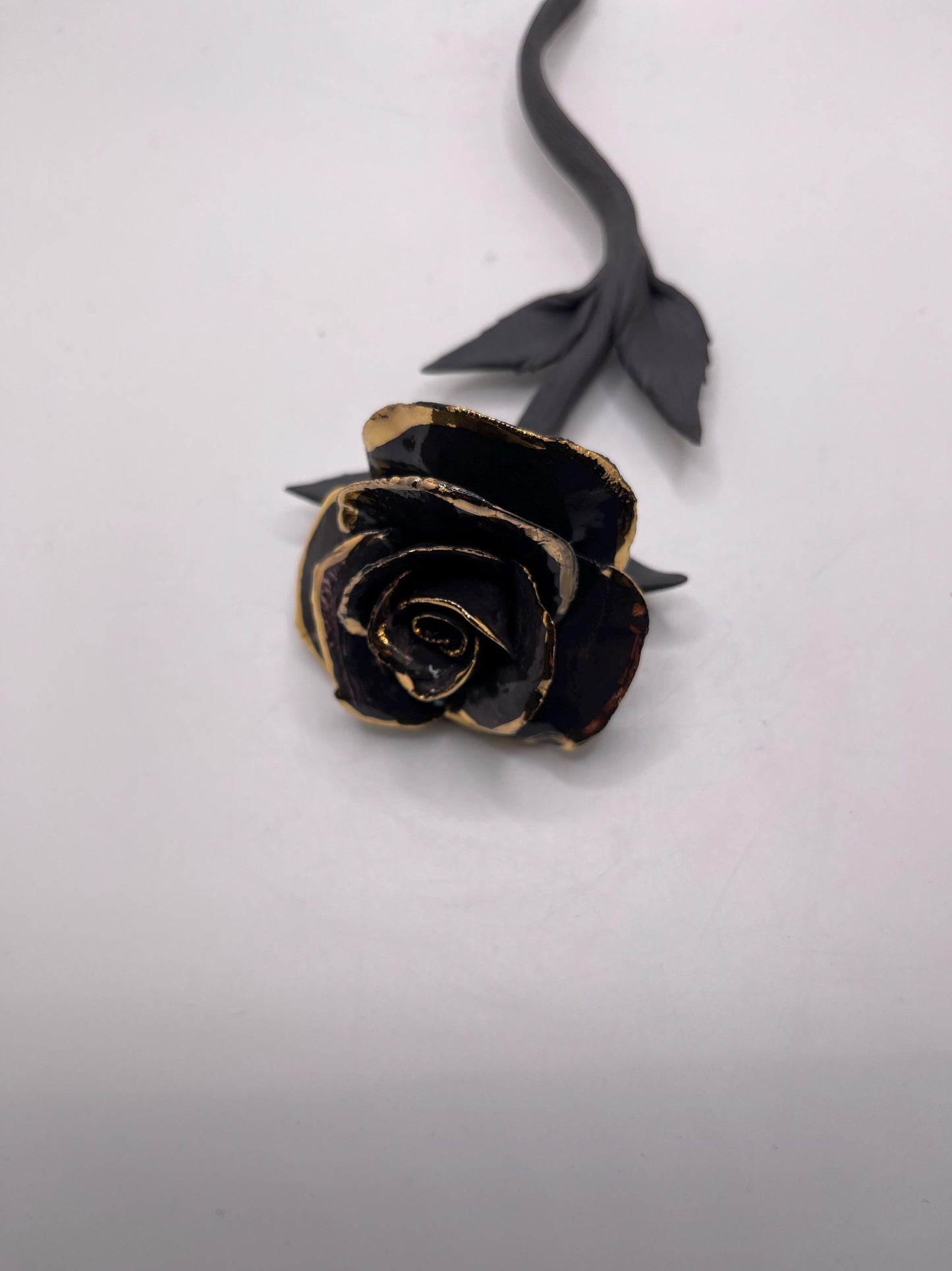 Forever Rose - Gold Rimmed