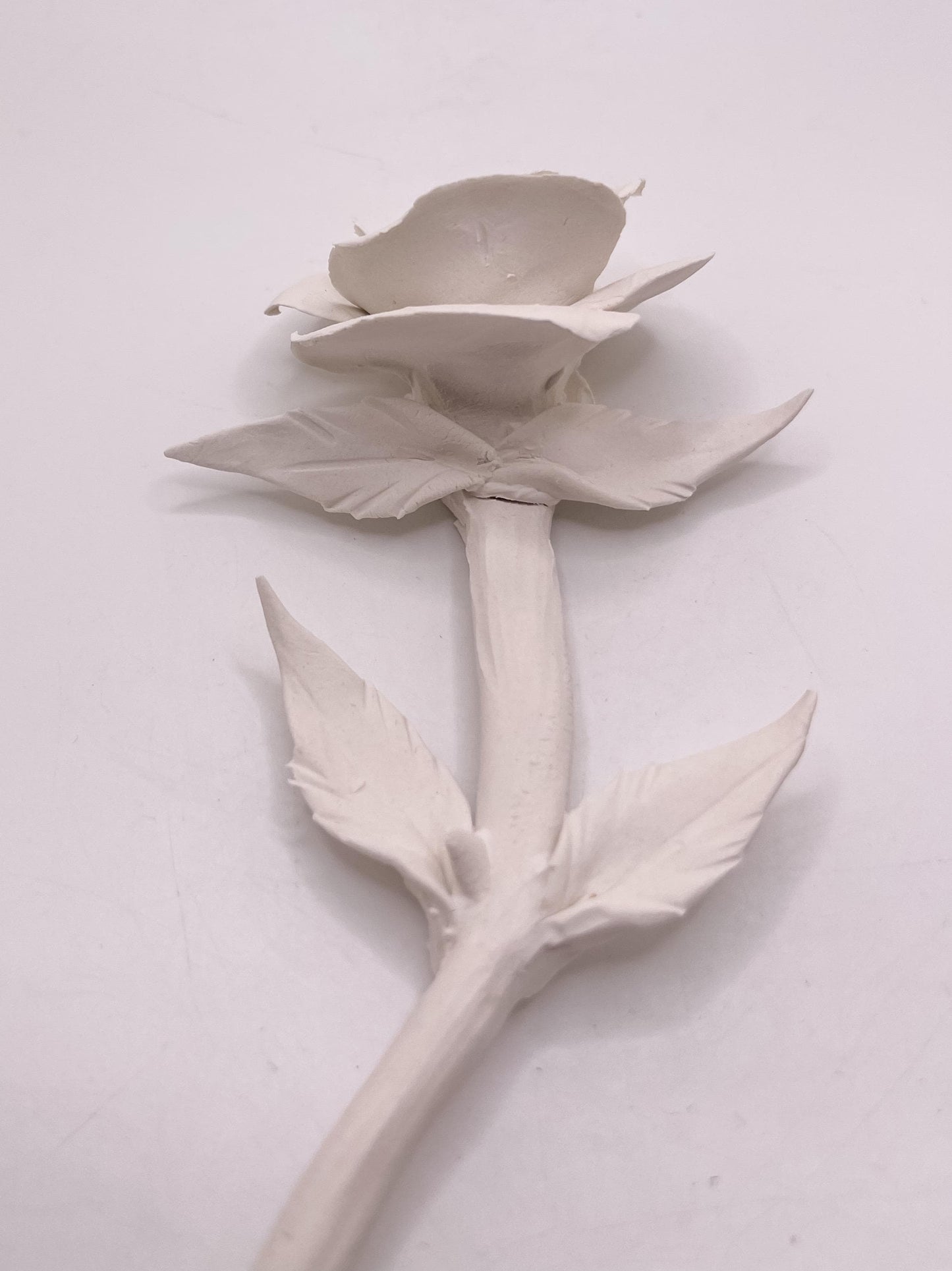 Forever Rose