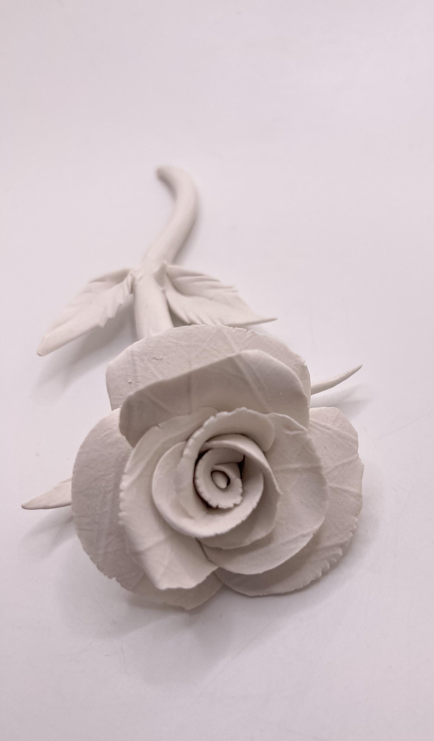Forever Rose