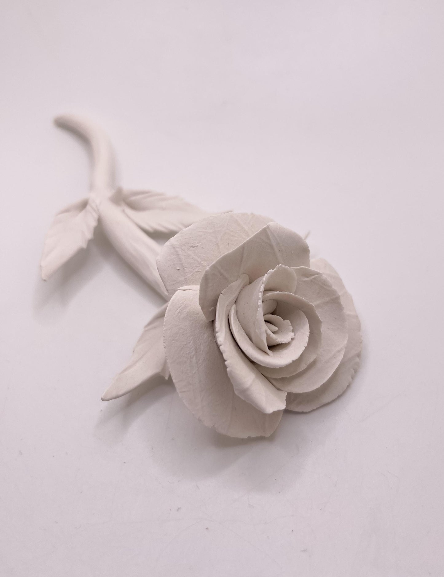 Forever Rose