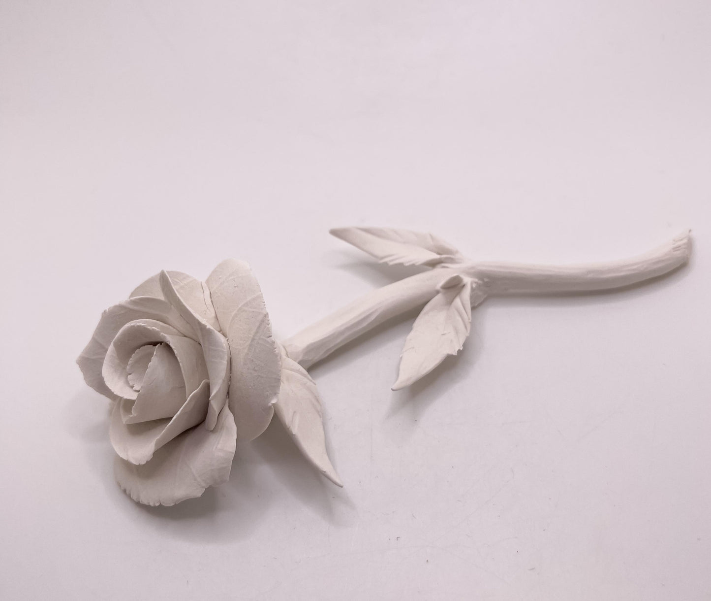 Forever Rose