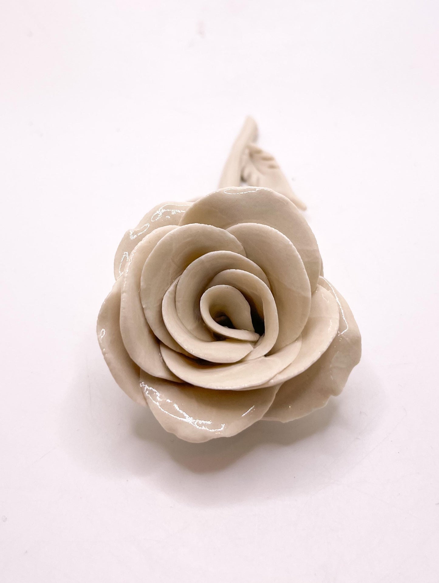 Forever Rose