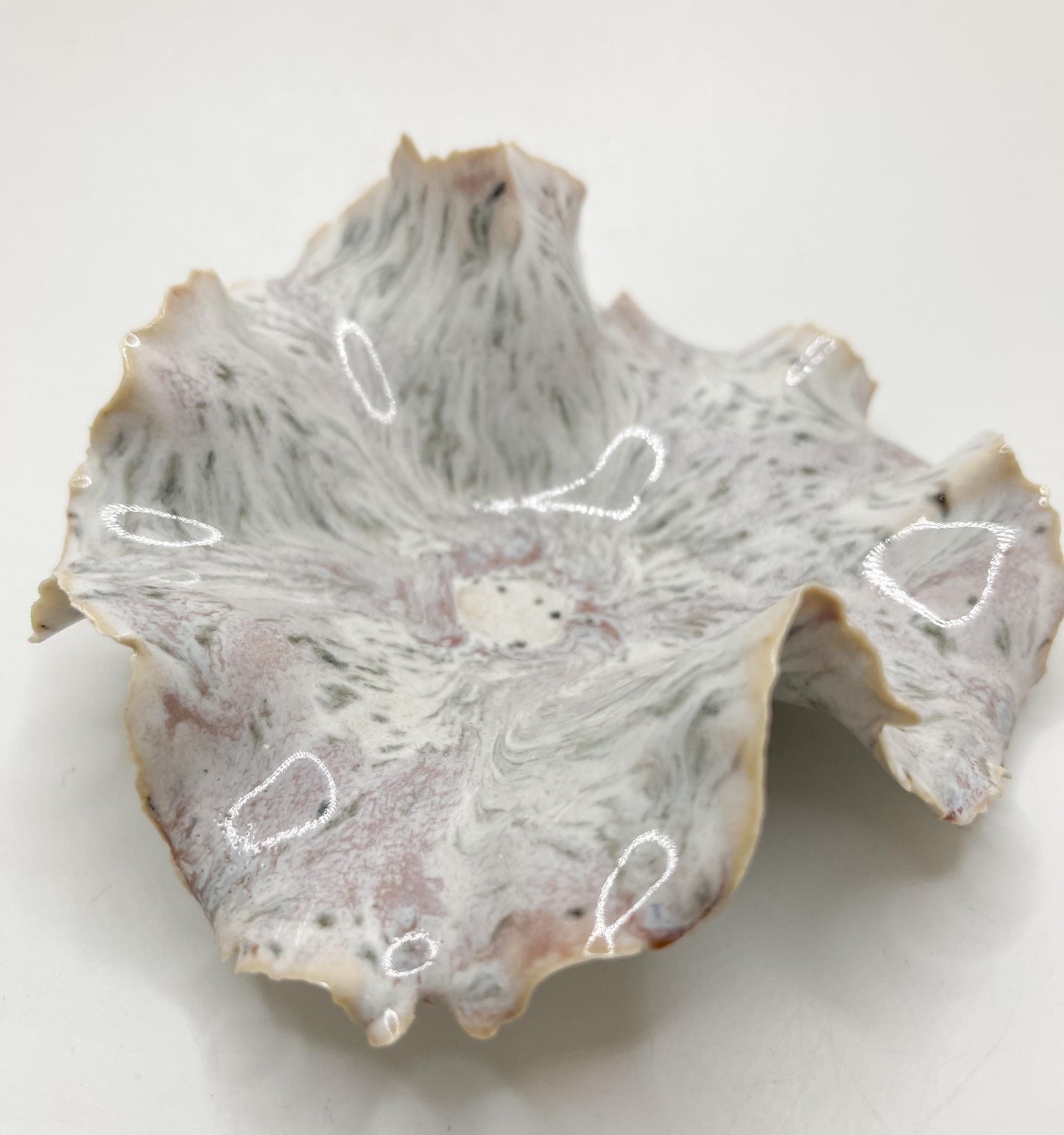 Mini Coral Beach Bowl